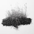 Soil Stewards Steward tier - pen-and-ink flourishing prairie plants with deep tangled roots